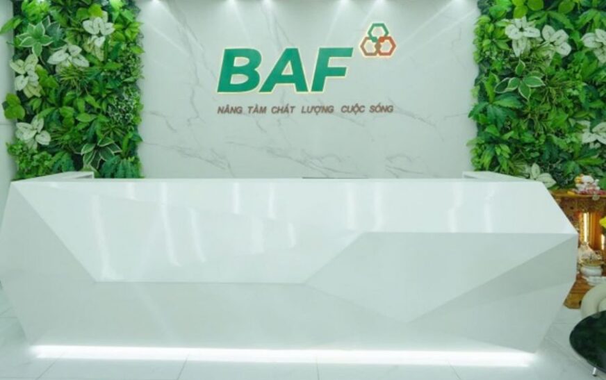 BAF Việt Nam đặt mục tiêu lợi nhuận kỷ lục: Tăng vốn lên 3.700 tỷ và tham vọng thống trị ngành chăn nuôi