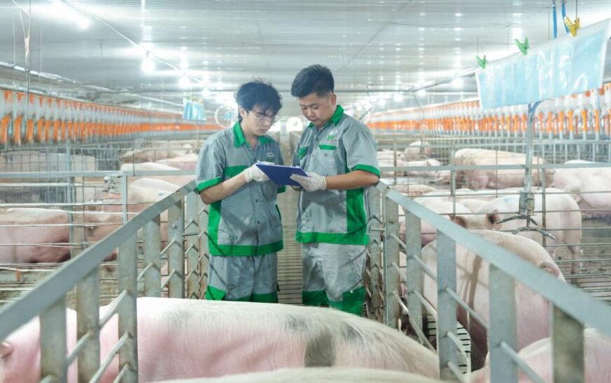 BAF Việt Nam: Khẳng định vị thế dẫn dắt và đặt mục tiêu lợi nhuận tăng gấp 6 lần trong năm 2026