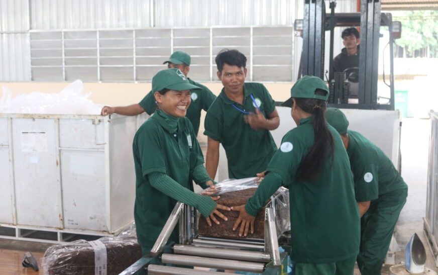 Nữ công nhân ngành cao su bền bỉ và sáng tạo trong kỷ nguyên số