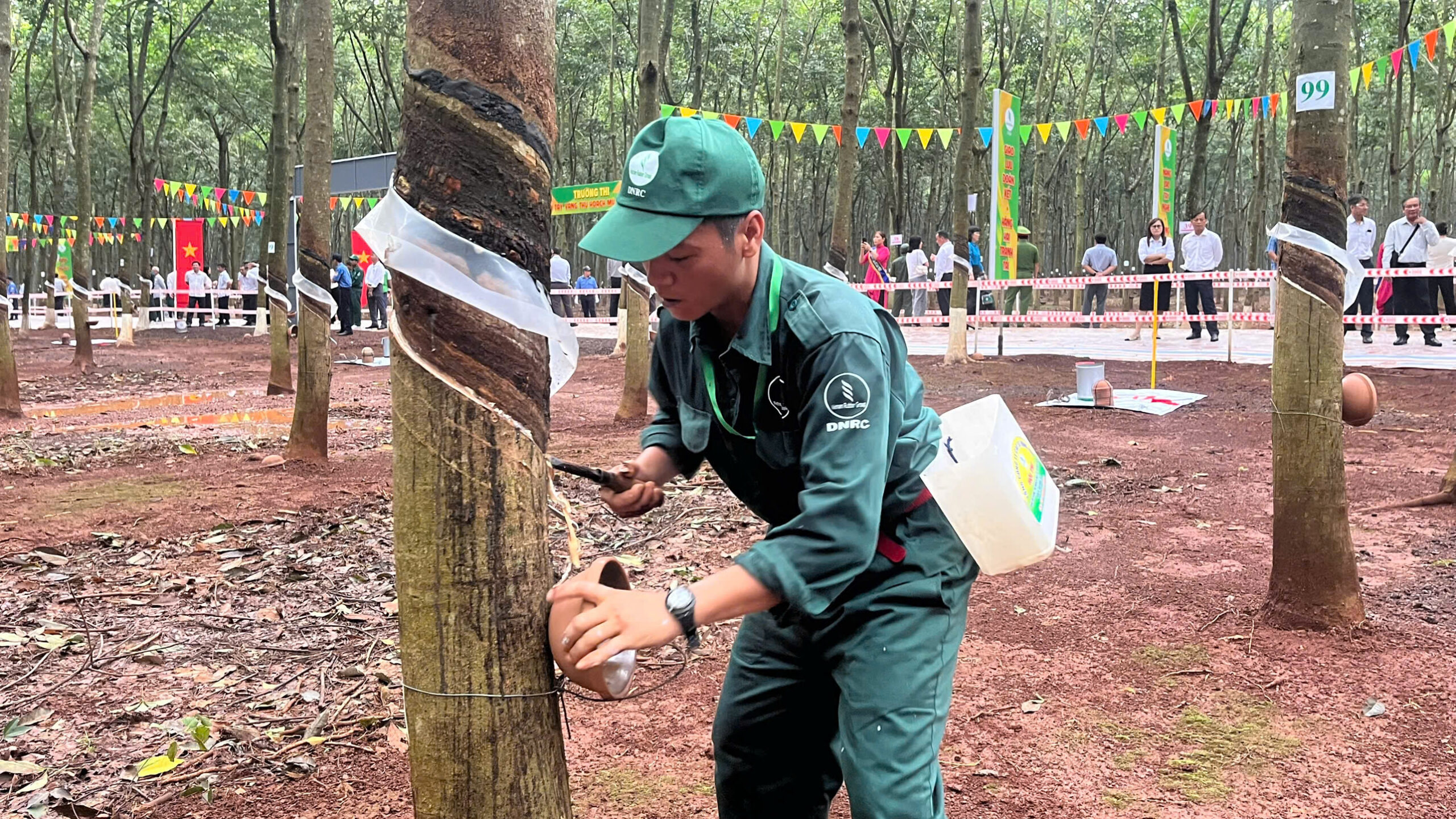 Hội thi Bàn tay vàng Cao su Đồng Nai 2026: Tôn vinh những người thợ giỏi và bệ phóng cho mục tiêu vượt 32.000 tấn mủ