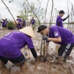 Nhân viên FedEx tham gia hoạt động trồng rừng ngập mặn tại Vĩnh Long