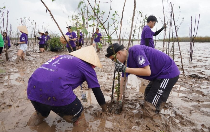 FedEx trồng 100 cây xanh và phục hồi rừng ngập tại Việt Nam