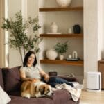 Levoit Vital Pet Pro ra mắt, giải pháp lọc không khí cho nhà có thú cưng