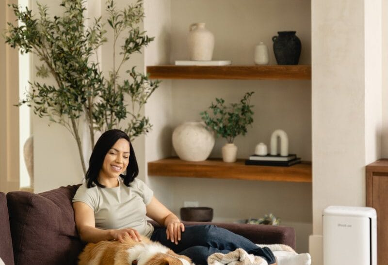 Máy lọc không khí Levoit Vital Pet Pro