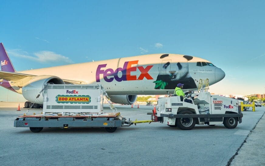 FedEx vận chuyển gấu