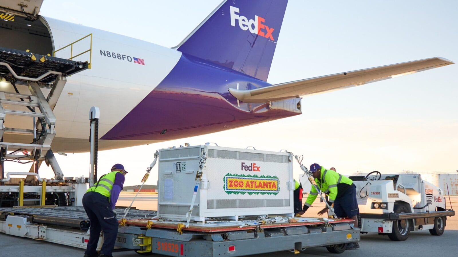 Nhân viên mặt đất xử lý lồng vận chuyển chuyên dụng sau khi máy bay hạ cánh — Ảnh: FedEx