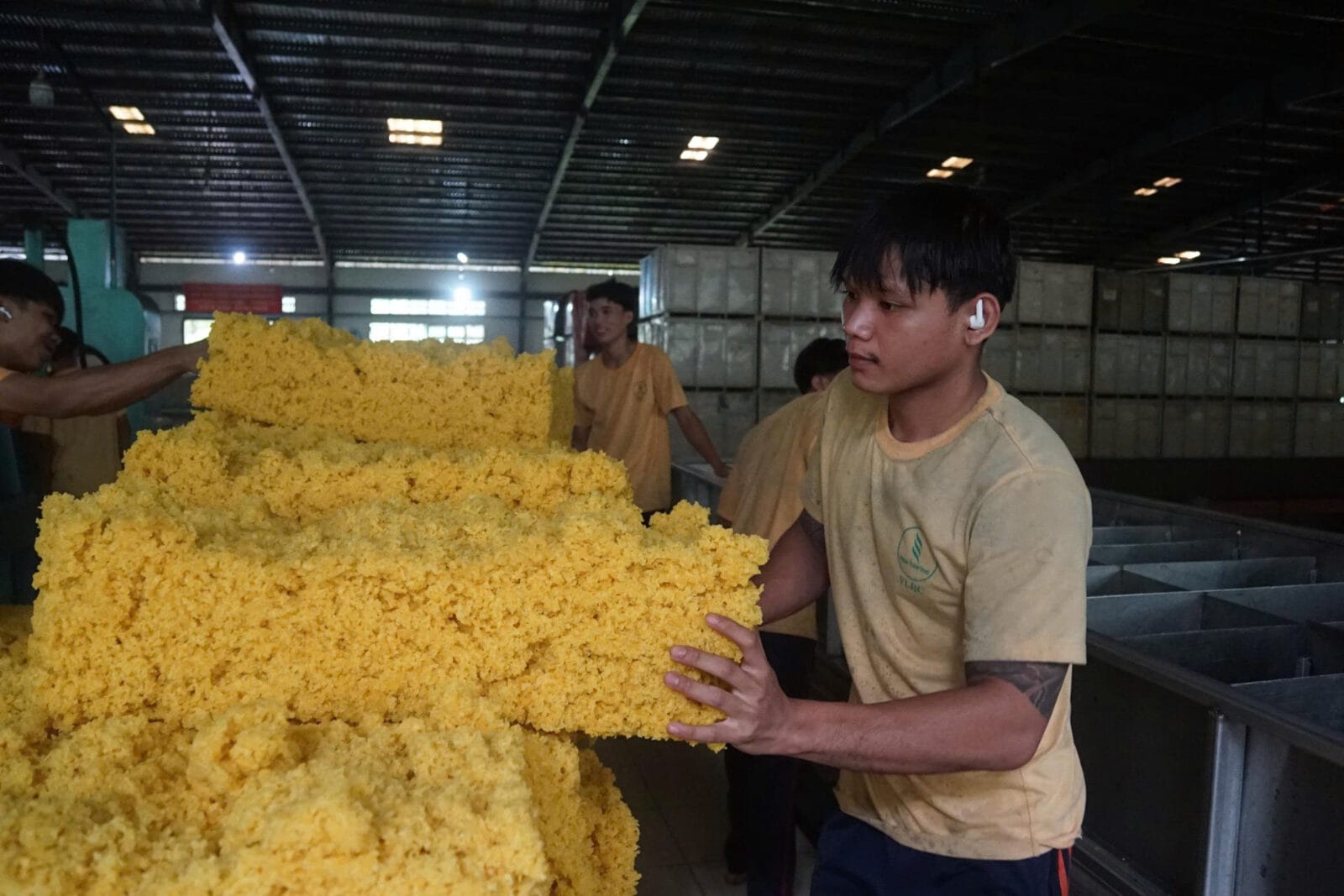 Cao su Việt Lào: ‘Tiên phong chuyển đổi xanh, tối ưu hóa chuỗi giá trị và phát triển bền vững tại Champasak’
