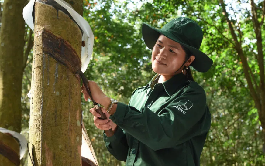 Cao su Phước Hòa đẩy mạnh chuyển đổi số, nâng cao hiệu quả kinh doanh